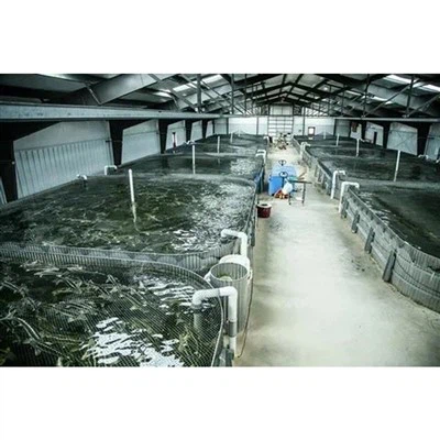 Bangunan Peternakan Ikan